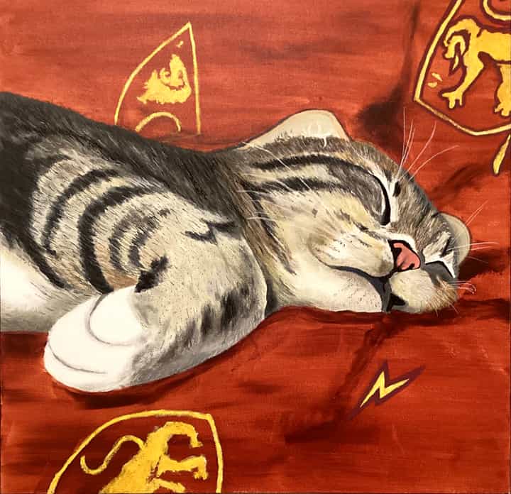 Kitten Dreams...