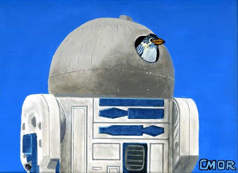 Birdhouse In Your Soul...